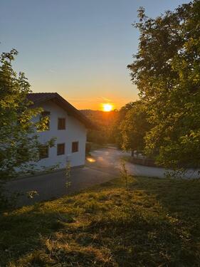 Foto - Wohnhaus mit Pferdeboxen, Reitplatz und Wiesen