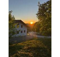 Wohnhaus mit Pferdeboxen, Reitplatz und Wiesen - Reichertsheim