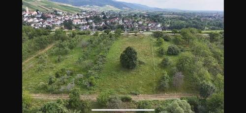 Foto - Grundstück zu Verkaufen in Varnhalt