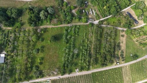 Foto - Einfamilienhaus zum Kaufen in Baden-Baden