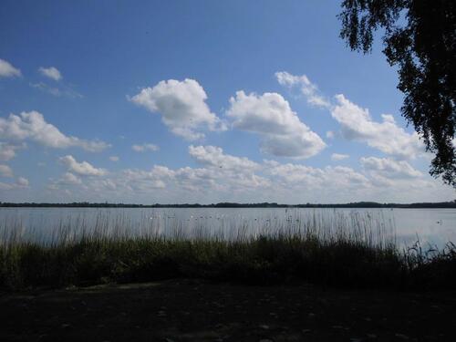 Foto - 2 Zimmer Etagenwohnung zur Miete in Groß Wittensee