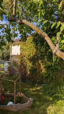 Foto - Grundst&uuml;ck zur Miete in Rostock