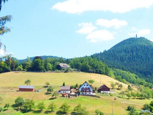 Foto - andere in Oppenau