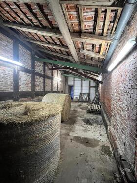 Foto - andere in Blender zur Miete