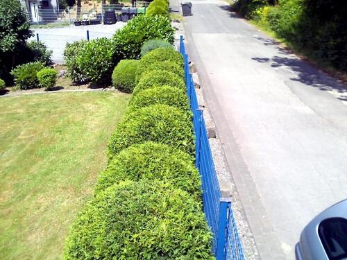 Foto - Einfamilienhaus in Waldbröl zum Kaufen