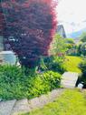 Foto - Einfamilienhaus in Ravensburg