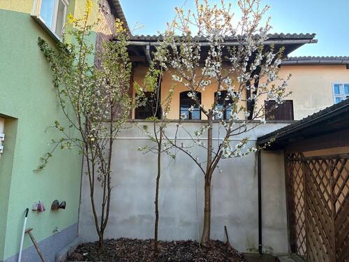 Foto - Einfamilienhaus in Möckern