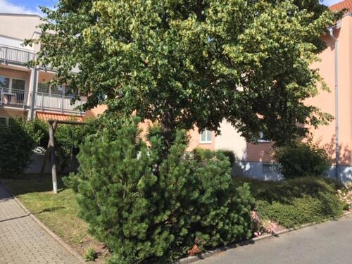 Foto - Etagenwohnung in Freiberg zum Kaufen