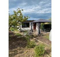 Garten in Reutershagen - 3.500,00&nbsp;EUR Kaltmiete, ca.&nbsp; 0,00&nbsp;m&sup2; in Elmenhorst/Lichtenhagen (PLZ: 18107)