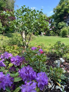 Foto - Nur Studenten: helle, möblierte 2,5-Zimmerwohnung