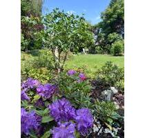 Nur Studenten: helle, möblierte 2,5-Zimmerwohnung - Schöneck