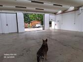 Foto - andere zur Miete in Übach-Palenberg