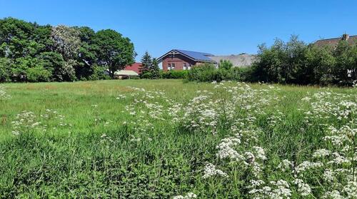 Foto - Helle Wohnung in Bordelum zu vermieten