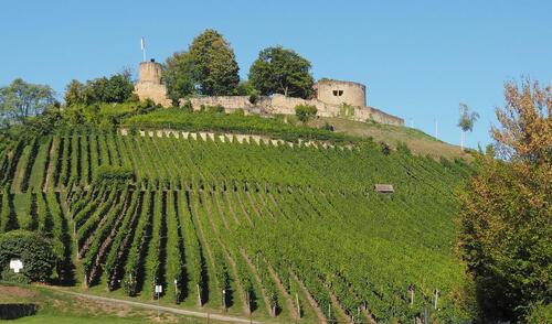 Foto - 2 Zimmer Etagenwohnung zur Miete in Weinsberg