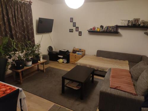 Foto - Erdgeschoßwohnung in Braunschweig zur Miete