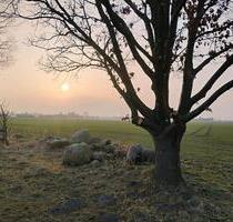 Pachtgarten im Nirgendwo, unweit der Ostsee - Bad Doberan