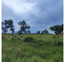 Exklusive Investmentgelegenheit: 16.000 ha - Paraguay - Germering