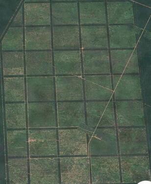 Foto - andere in Germering