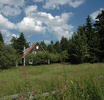 schöne 3 Zimmerwohnung im Torfhaus Nationalpark Harz - Bad Harzburg