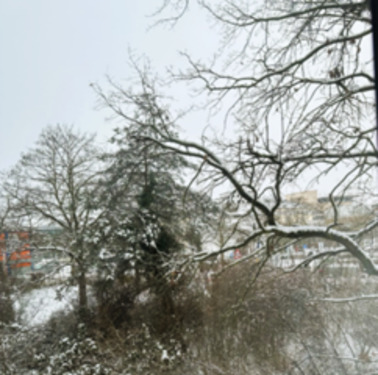 Foto - Loft - Studio - Atelier in Regensburg zur Miete