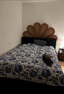 Foto - 1.5 Zimmer Erdgeschoßwohnung zur Miete in Berlin