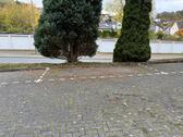 Foto - Stellplatz zu vermieten - nah und flexibel