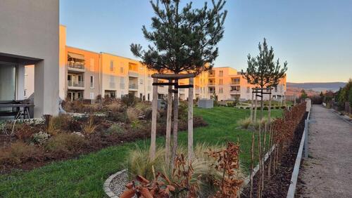 Foto - 4 Zimmer Erdgeschoßwohnung zur Miete in Jena