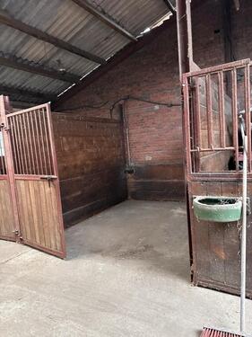 Foto - andere in Beelen