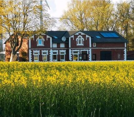 Foto - Bauernhaus ohne Makler! Pferdeboxen Weide