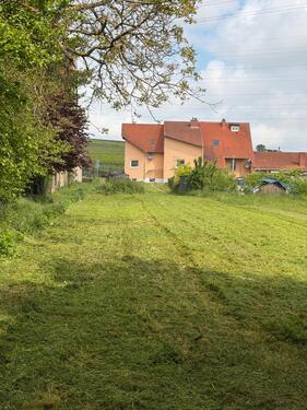 Foto - Grundst&uuml;ck in Alzey zum Kaufen