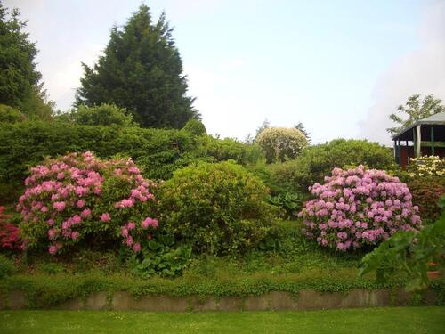Foto - Einfamilienhaus in Osterholz-Scharmbeck zum Kaufen