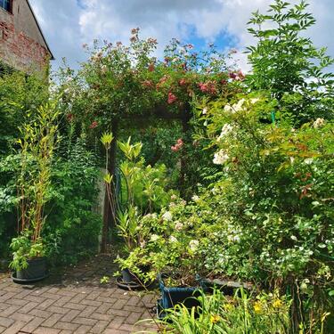 Foto - 2-Familien-Haus in 07955 zu verkaufen