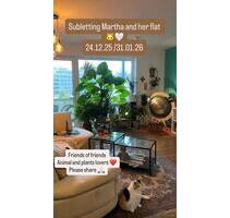 Zwischenmiete in Schöneweide - Sublet in Schöneweide - Berlin Treptow-Köpenick