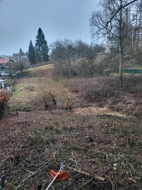 Foto - Wiesengrundstück, Grundstück, Wiese, Weide, Schmelz (Außen)