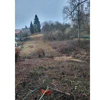 Wiesengrundstück, Grundstück, Wiese, Weide, Schmelz (Außen)