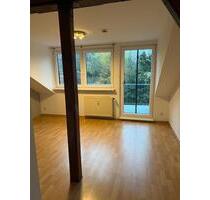 Helle 3-Zimmer-Wohnung mit Stadtnähe - Gifhorn