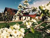 Foto - Einfamilienhaus in idyllischer Lage