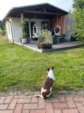 Foto - Einfamilienhaus in Brück zum Kaufen
