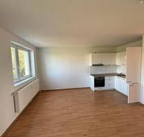 Vollständig renovierte 3-Zimmer Wohnung in Halle (Saale)