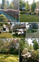 Foto - Villa in Nordstemmen zum Kaufen