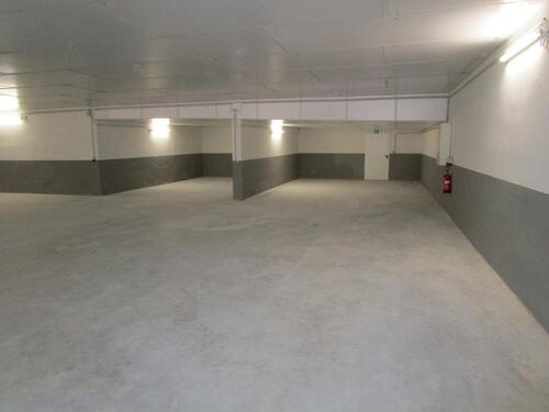 Foto - andere in Haren (Ems)