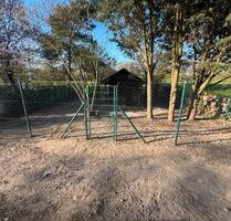 Schrebergarten, Garten, Gartengrundstück, Freizeitgrundstück - Altlußheim