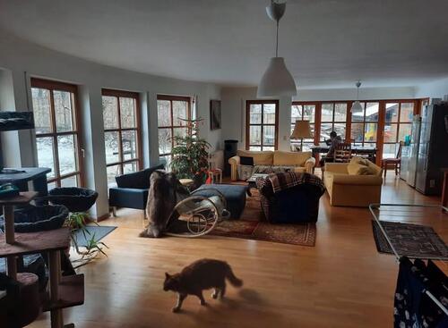 Foto - Etagenwohnung in Emmering zur Miete