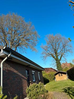 Foto - Etagenwohnung in Kaltenkirchen zur Miete