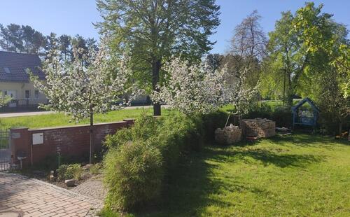 Foto - Einfamilienhaus zum Kaufen in Bernau bei Berlin