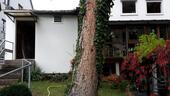 Foto - Einfamilienhaus zum Kaufen in Erfurt