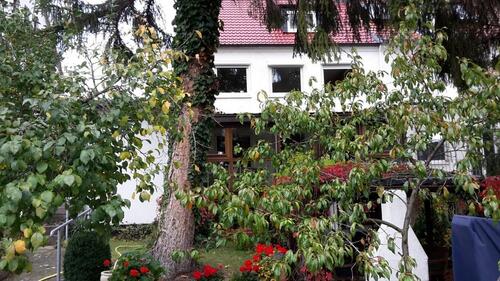 Foto - Einfamilienhaus in Erfurt zum Kaufen