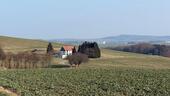 Foto - Imobilie mit Landwirtschaftlicher Nutzfläche