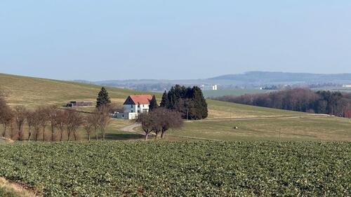 Foto - Imobilie mit Landwirtschaftlicher Nutzfläche