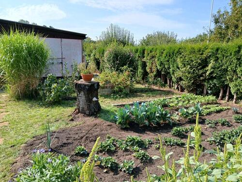Foto - Grundstück in Bad Freienwalde (Oder)